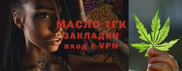 молекула духа Краснослободск