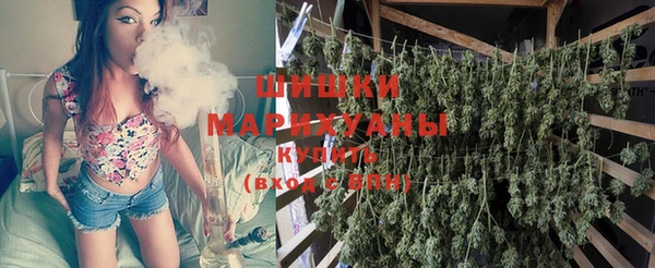 молекула духа Краснослободск