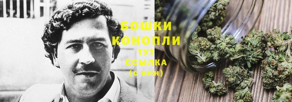 молекула духа Краснослободск