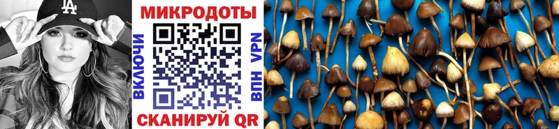 Галлюциногенные грибы Psilocybe  Купить закладки  Черноголовка 